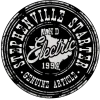 STEPHENVILLE STARTER - Logo