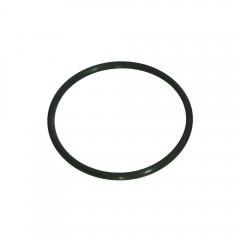 RCI FUEL CELL CAP O-RING